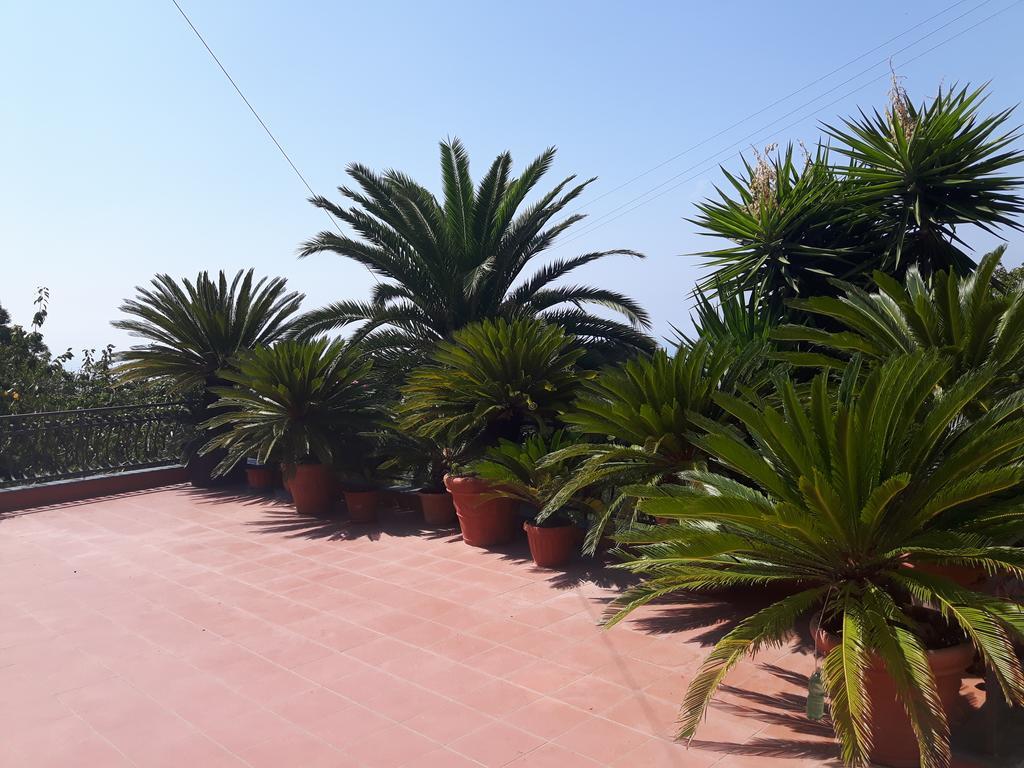 Willa La Casa Del Sole Vico Equense Zewnętrze zdjęcie