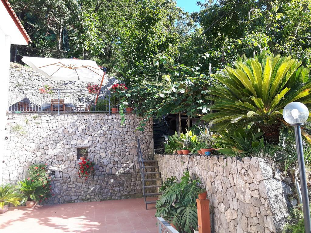 Willa La Casa Del Sole Vico Equense Zewnętrze zdjęcie