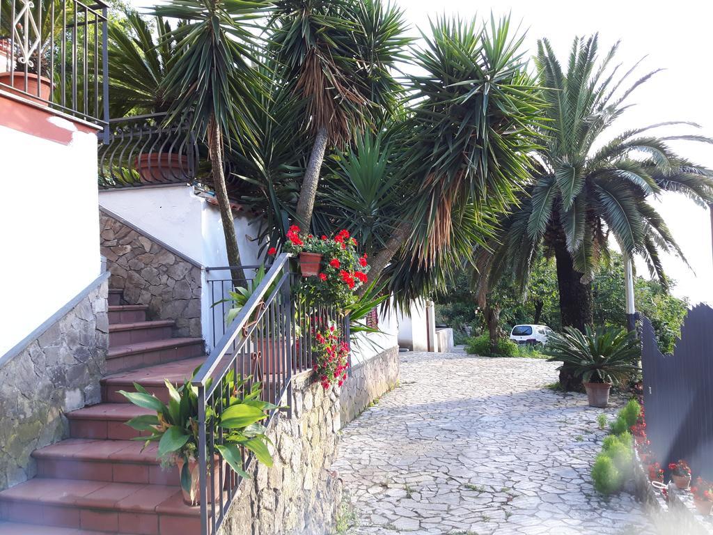 Willa La Casa Del Sole Vico Equense Zewnętrze zdjęcie