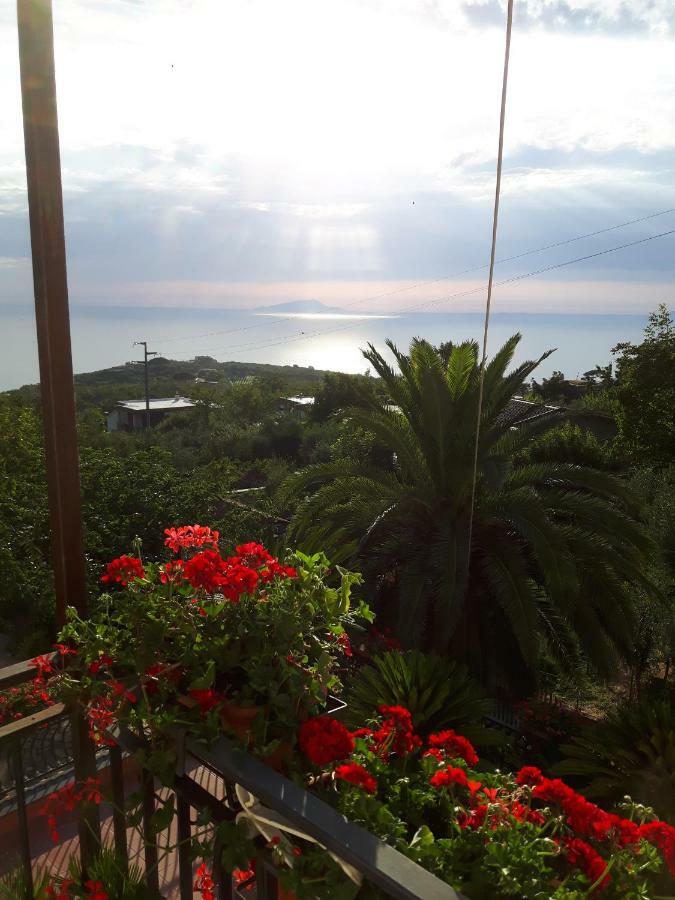 Willa La Casa Del Sole Vico Equense Zewnętrze zdjęcie